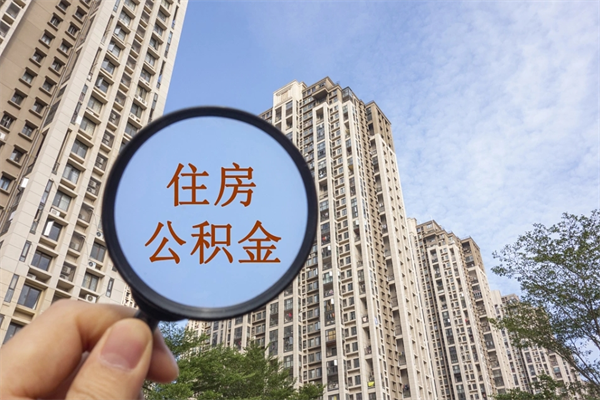 肇庆公积金代办（肇庆公积金代办费用是什么意思）